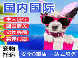林芝空运国际宠物托运 【国